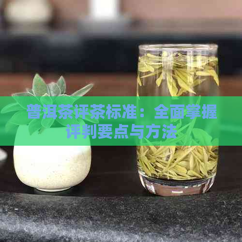 普洱茶评茶标准：全面掌握评判要点与方法