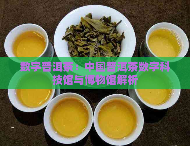 数字普洱茶：中国普洱茶数字科技馆与博物馆解析