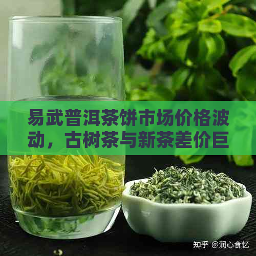 易武普洱茶饼市场价格波动，古树茶与新茶差价巨大