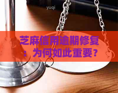 芝麻信用逾期修复：为何如此重要？