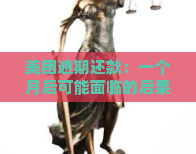 美团逾期还款：一个月后可能面临的后果及是否会面临起诉