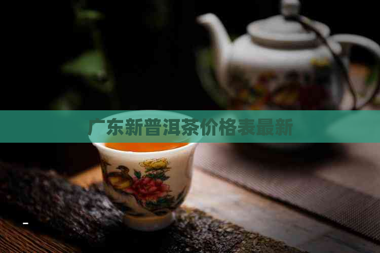 广东新普洱茶价格表最新