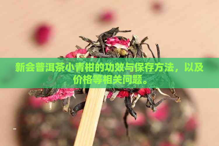 新会普洱茶小青柑的功效与保存方法，以及价格等相关问题。