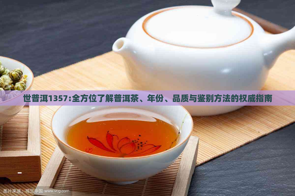 世普洱1357:全方位了解普洱茶、年份、品质与鉴别方法的权威指南