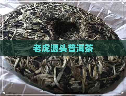 老虎源头普洱茶