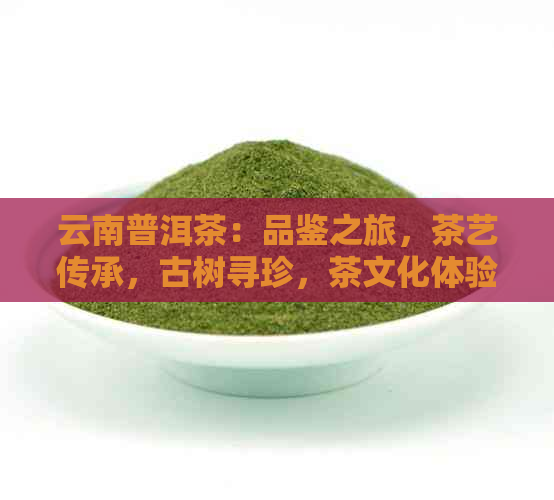 云南普洱茶：品鉴之旅，茶艺传承，古树寻珍，茶文化体验