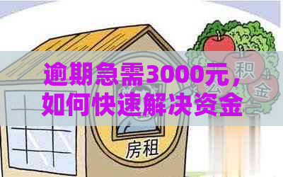 逾期急需3000元，如何快速解决资金困境