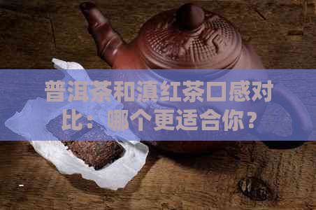 普洱茶和滇红茶口感对比：哪个更适合你？