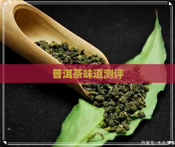 普洱茶味道测评