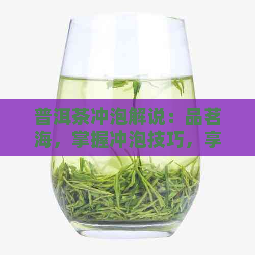 普洱茶冲泡解说：品茗海，掌握冲泡技巧，享受茶香人生。