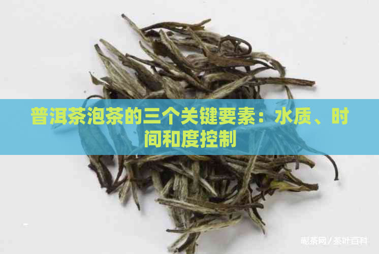 普洱茶泡茶的三个关键要素：水质、时间和度控制