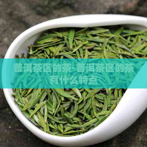 普洱茶区的茶-普洱茶区的茶有什么特点