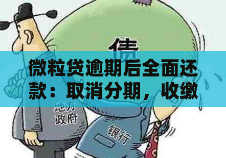 微粒贷逾期后全面还款：取消分期，收缴全款的新规定