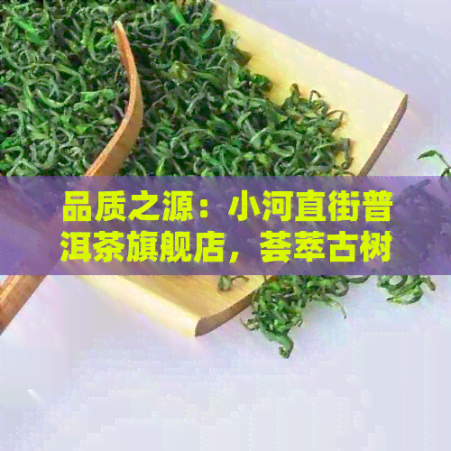 品质之源：小河直街普洱茶旗舰店，荟萃古树好茶与专业制茶工艺的完美融合