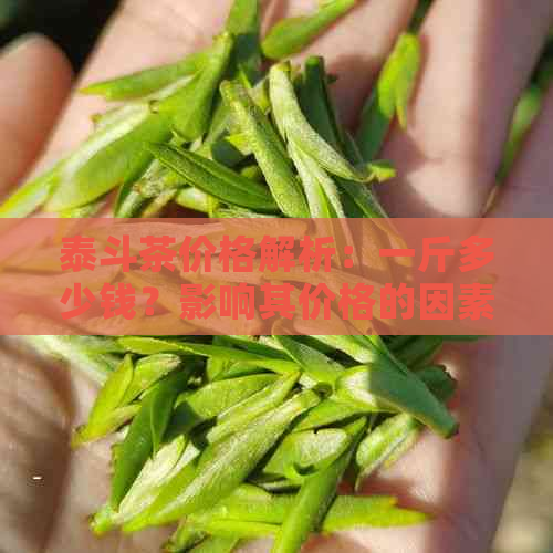 泰斗茶价格解析：一斤多少钱？影响其价格的因素有哪些？