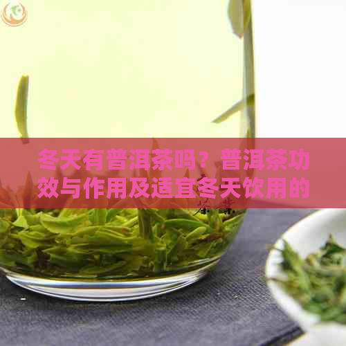 冬天有普洱茶吗？普洱茶功效与作用及适宜冬天饮用的原因。