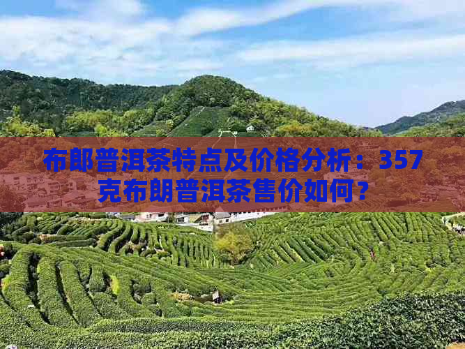 布郎普洱茶特点及价格分析：357克布朗普洱茶售价如何？