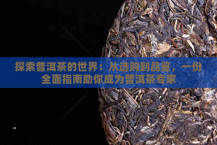 探索普洱茶的世界：从选购到品鉴，一份全面指南助你成为普洱茶专家