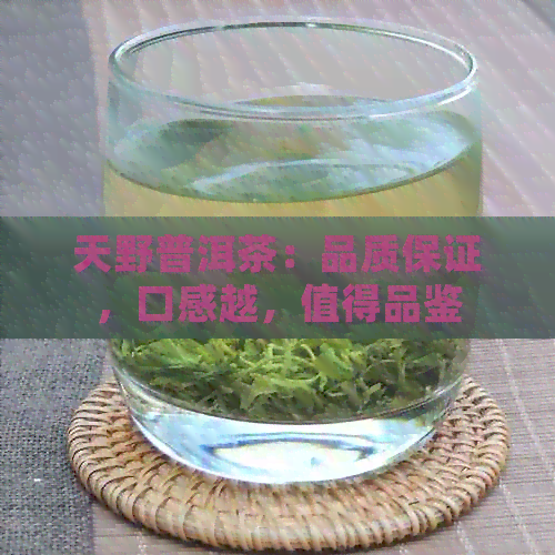 天野普洱茶：品质保证，口感越，值得品鉴