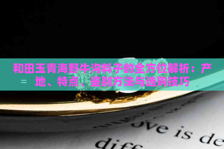 和田玉青海野牛沟料子的全方位解析：产地、特点、鉴别方法与选购技巧