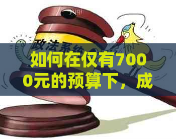 如何在仅有7000元的预算下，成功偿还30万元债务？一个月还款计划分享