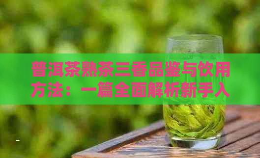 普洱茶熟茶三香品鉴与饮用方法：一篇全面解析新手入门的教程