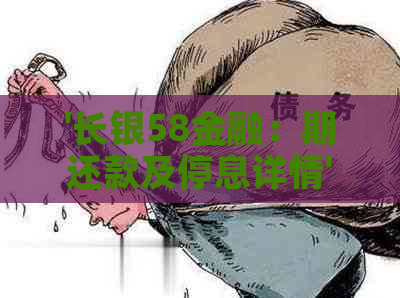 '长银58金融：期还款及停息详情'