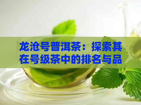 龙沧号普洱茶：探索其在号级茶中的排名与品质