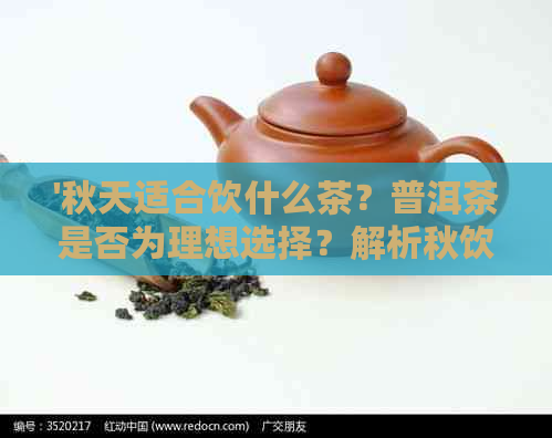 '秋天适合饮什么茶？普洱茶是否为理想选择？解析秋饮茶的选择'