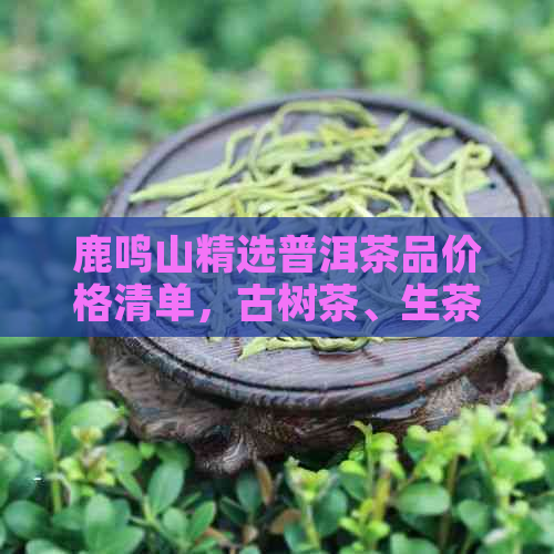 鹿鸣山精选普洱茶品价格清单，古树茶、生茶、熟茶一应俱全