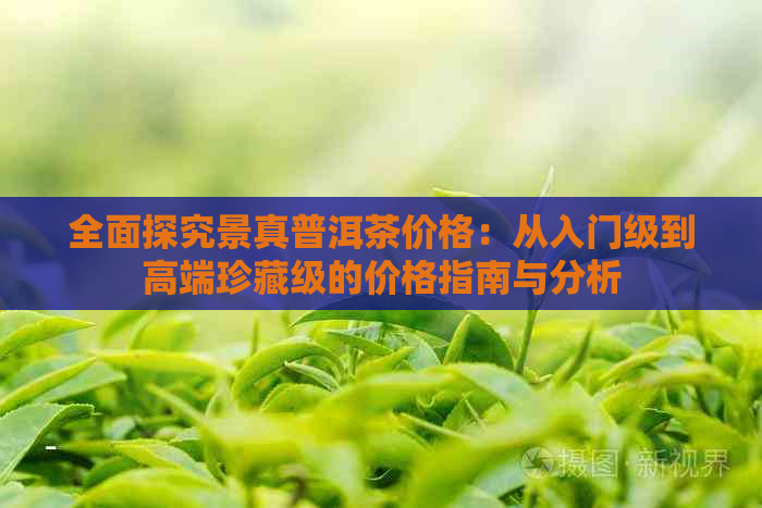 全面探究景真普洱茶价格：从入门级到高端珍藏级的价格指南与分析