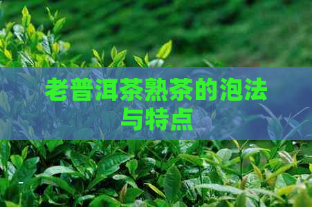 老普洱茶熟茶的泡法与特点