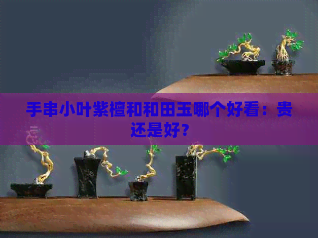 手串小叶紫檀和和田玉哪个好看：贵还是好？