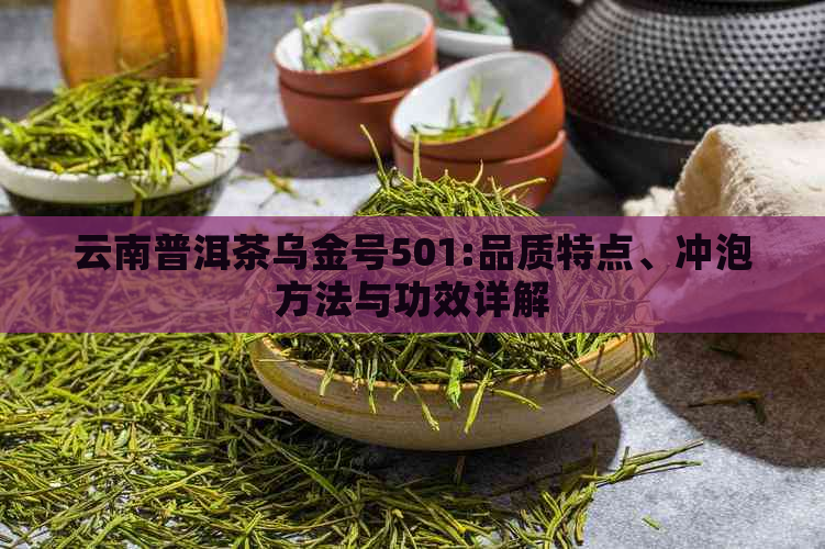 云南普洱茶乌金号501:品质特点、冲泡方法与功效详解