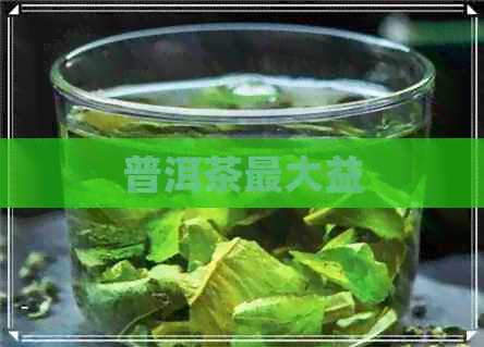 普洱茶更大益