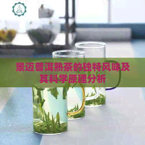 景迈普洱熟茶的独特风味及其科学原理分析