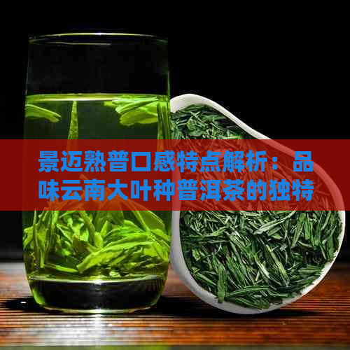 景迈熟普口感特点解析：品味云南大叶种普洱茶的独特韵味