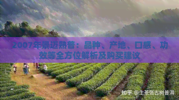 2007年景迈熟普：品种、产地、口感、功效等全方位解析及购买建议