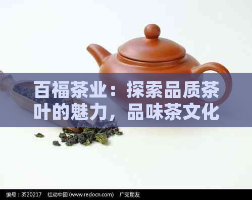 百福茶业：探索品质茶叶的魅力，品味茶文化的无限可能