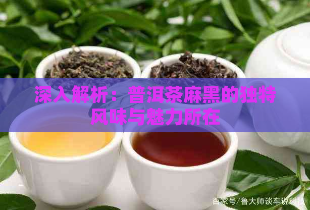 深入解析：普洱茶麻黑的独特风味与魅力所在