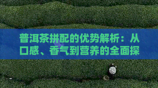 普洱茶拼配的优势解析：从口感、香气到营养的全面探讨