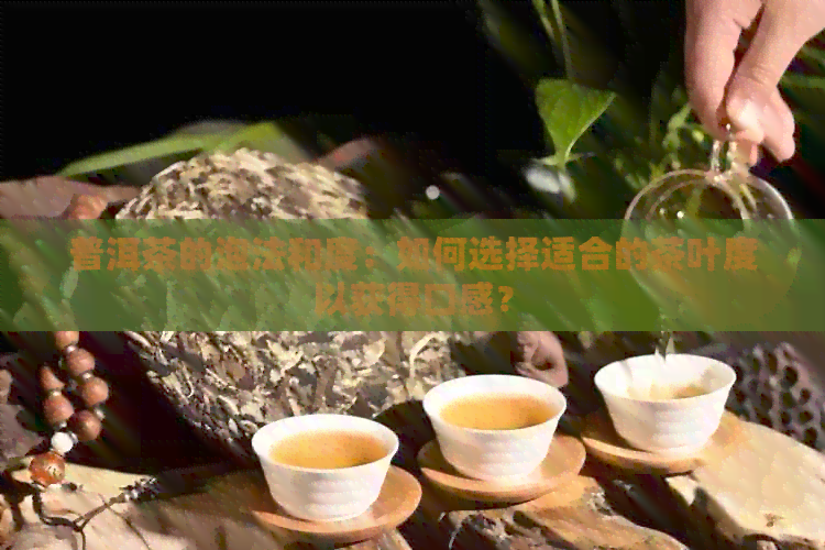 普洱茶的泡法和度：如何选择适合的茶叶度以获得口感？