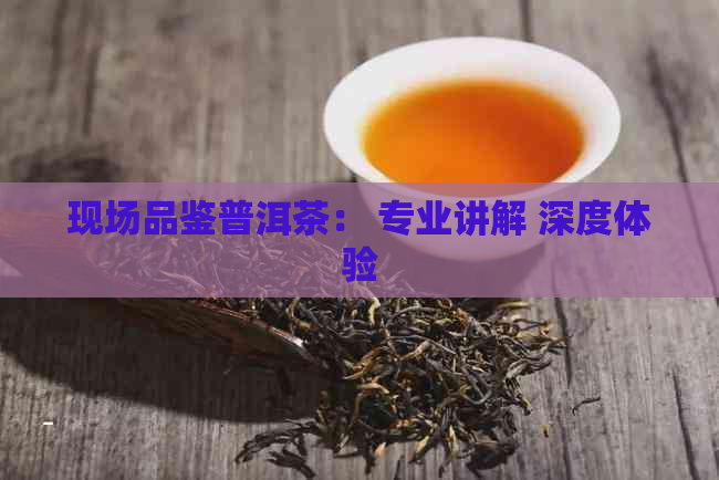 现场品鉴普洱茶： 专业讲解 深度体验