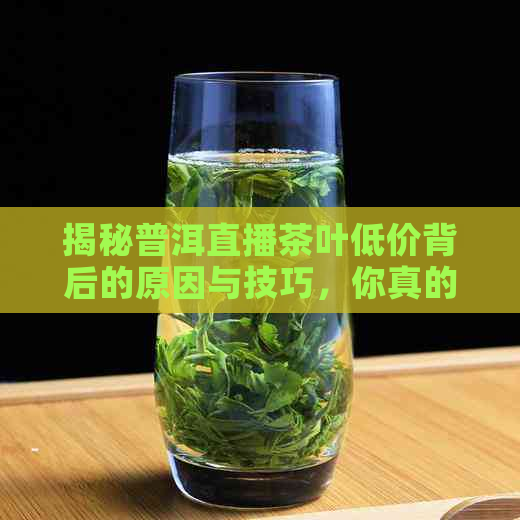 揭秘普洱直播茶叶低价背后的原因与技巧，你真的了解吗？