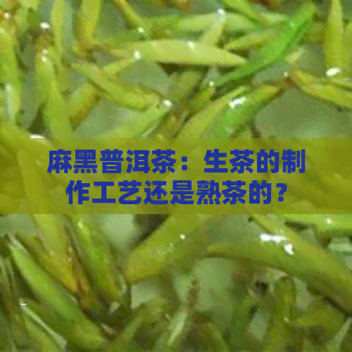 麻黑普洱茶：生茶的制作工艺还是熟茶的？