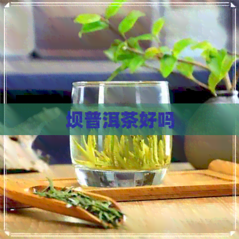 坝普洱茶好吗