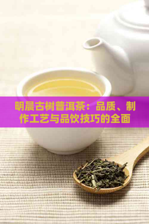 明晨古树普洱茶：品质、制作工艺与品饮技巧的全面解析