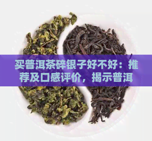 买普洱茶碎银子好不好：推荐及口感评价，揭示普洱茶碎银子的骗局