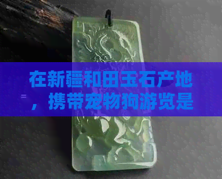 在新疆和田玉石产地，携带宠物狗游览是否可行？