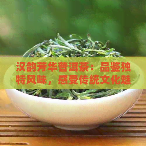 汉韵芳华普洱茶：品鉴独特风味，感受传统文化魅力